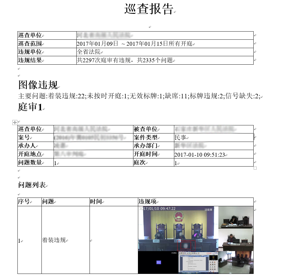 巡查报告