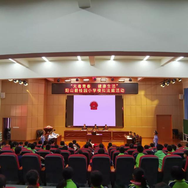 模拟法庭建设，阳山法院模拟法庭活动