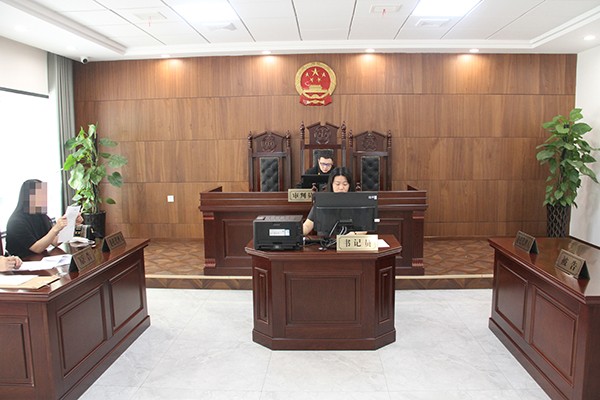 浔城多元调解服务中心巡回法庭使用远程视频方式开庭